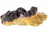 Dark Purple Cubic Fluorite on Quartz - China #94320-2